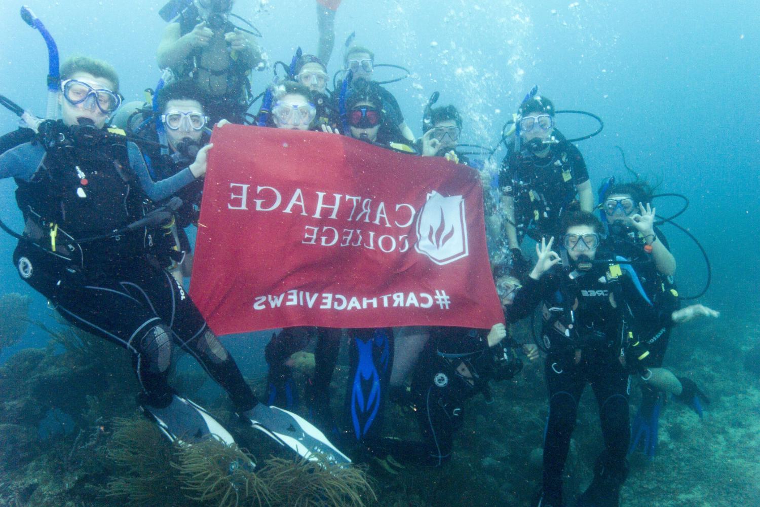 学生们手持<a href='http://kked.ngskmc-eis.net'>博彩网址大全</a>旗帜，在j学期洪都拉斯游学之旅中潜水.